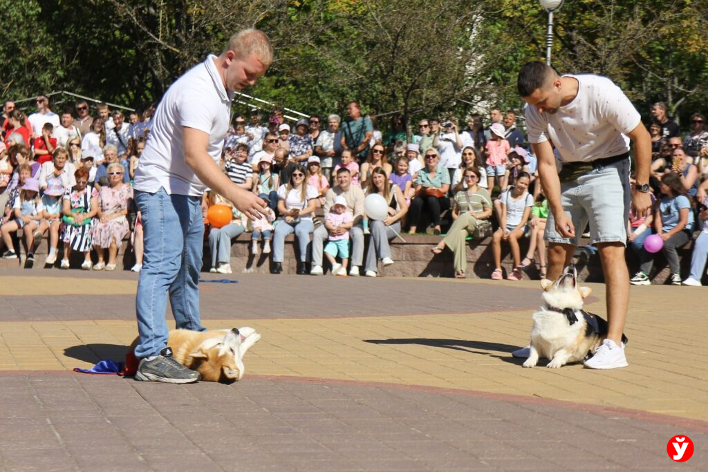 ДОГ шоу Солигорск