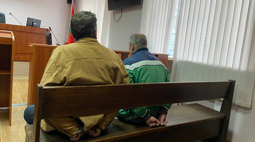 Двух жителей Витебской области наказали за хулиганство в Минском зоопарке