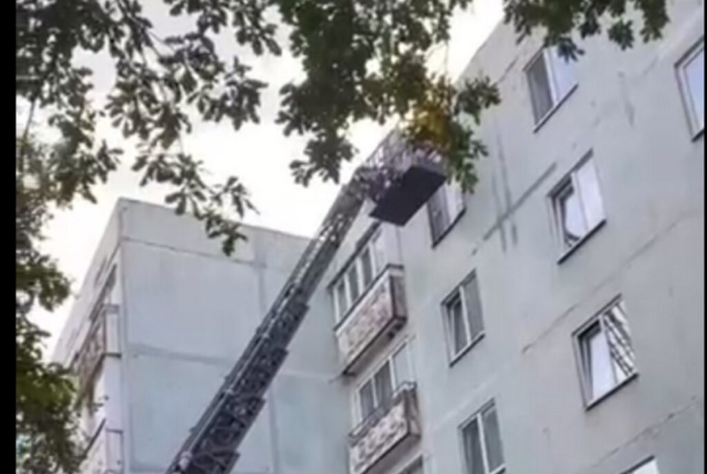 В Жодино спасатели ликвидировали гнездо ос