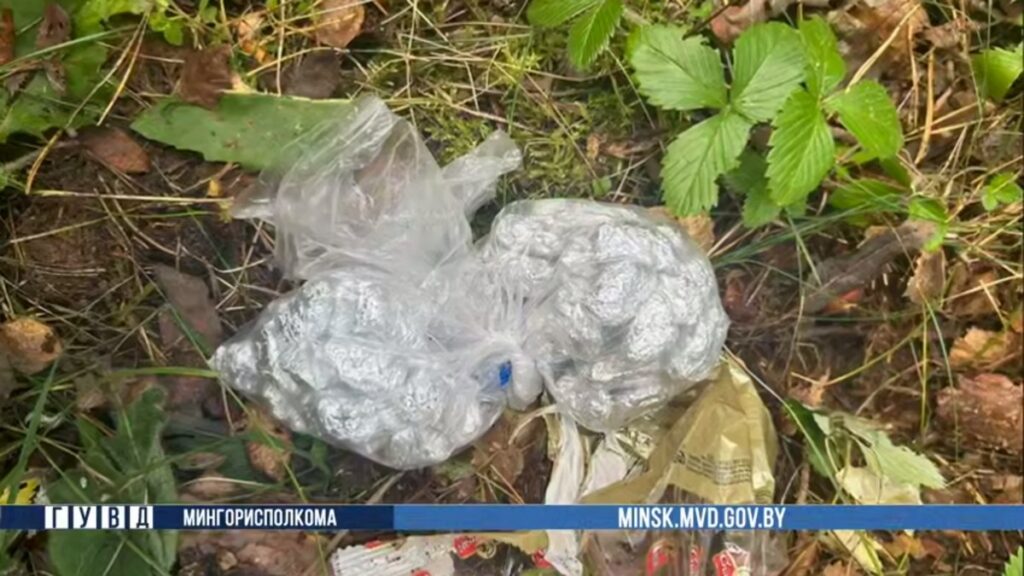 В Минске задержаны двое наркозакладчиков с 300 граммами психотропов