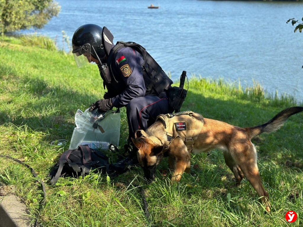 кинолог