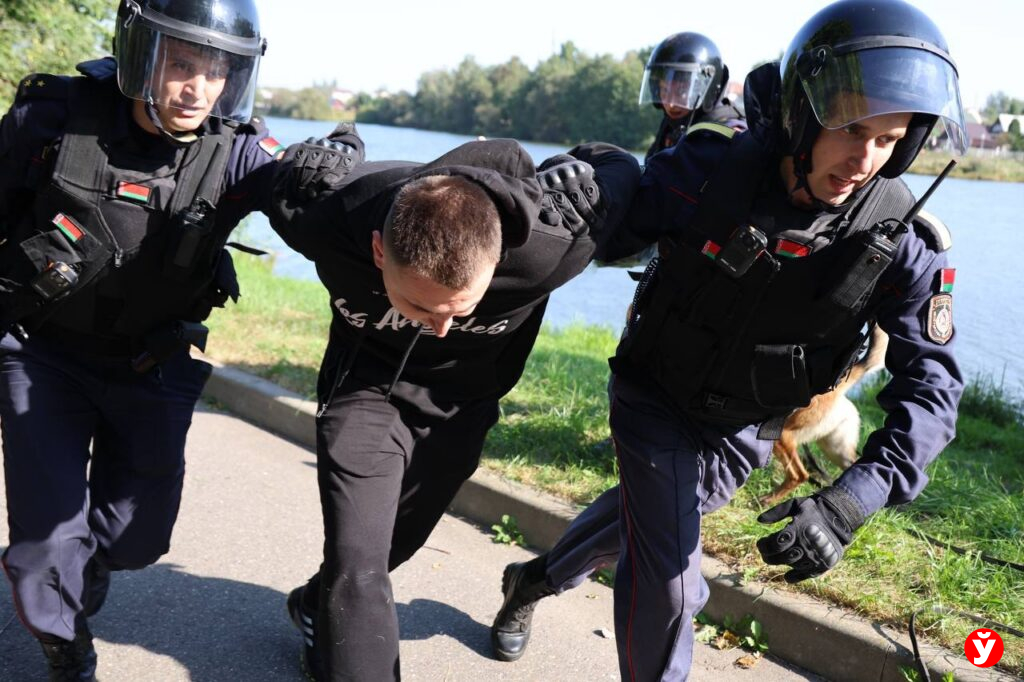 задержание преступника