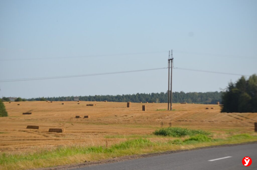 Крупки