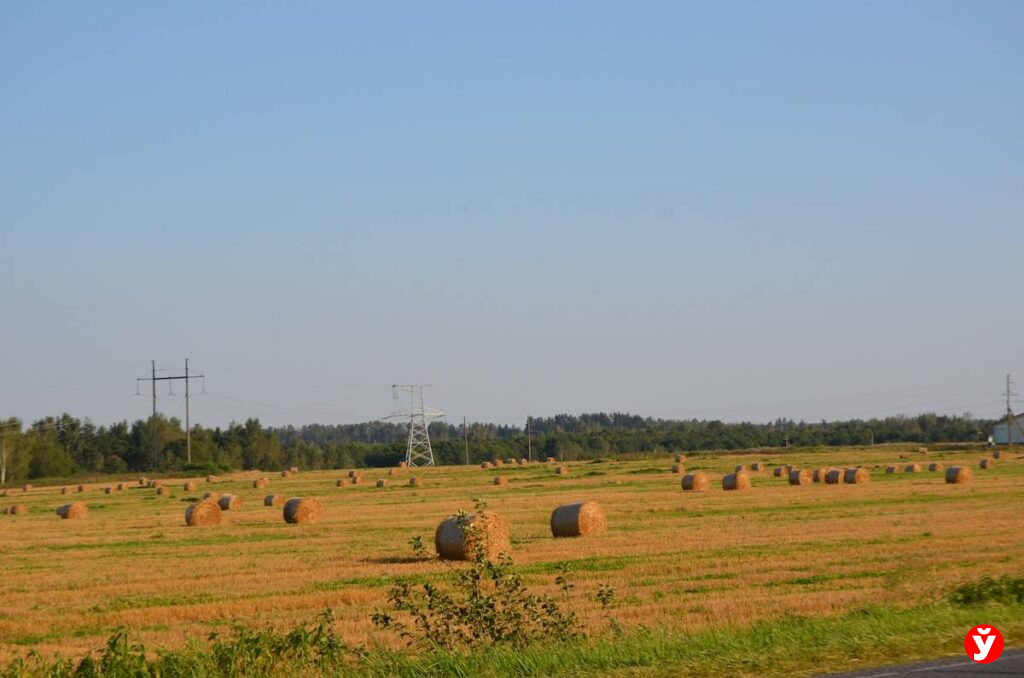 Крупки