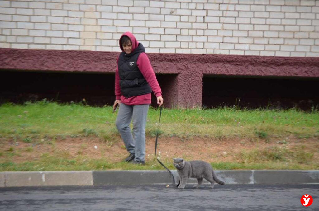 Крупки