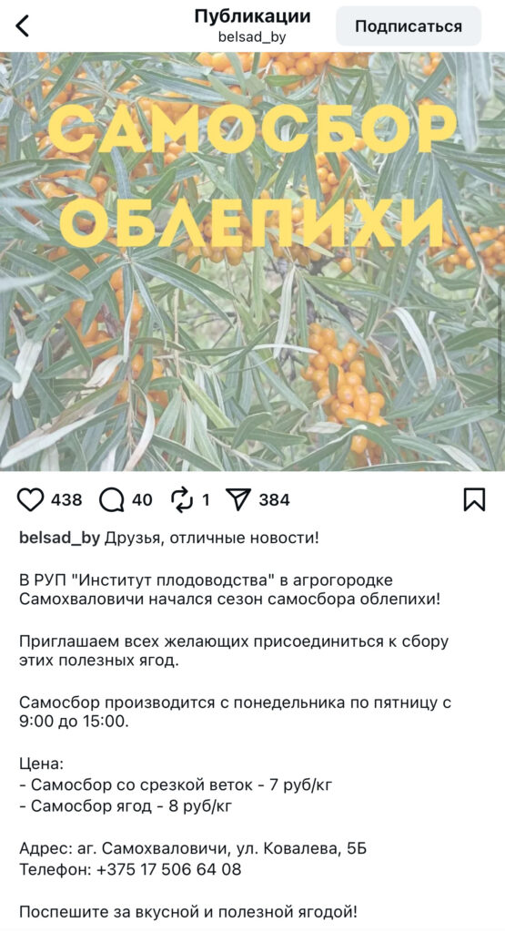 институт плодоводства