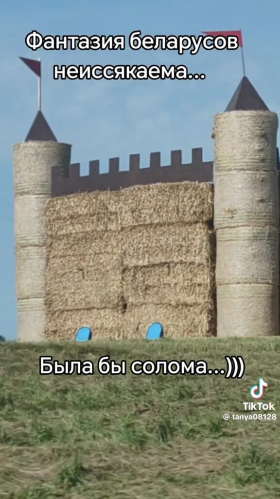 Дожинки