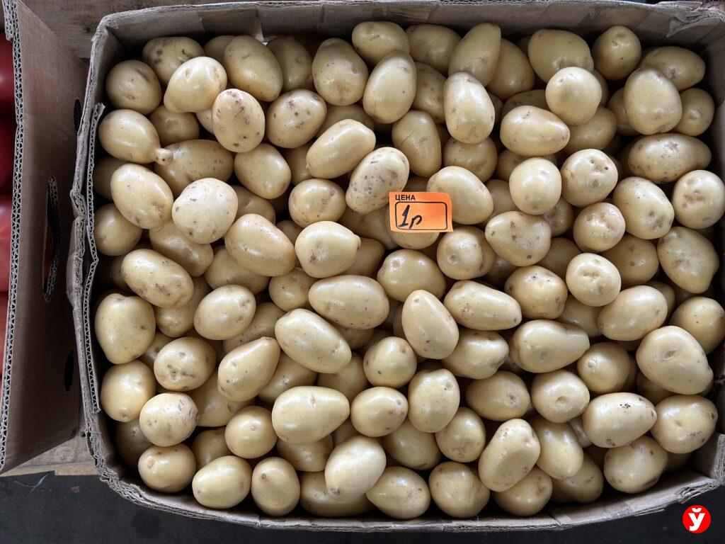 мытый картофель