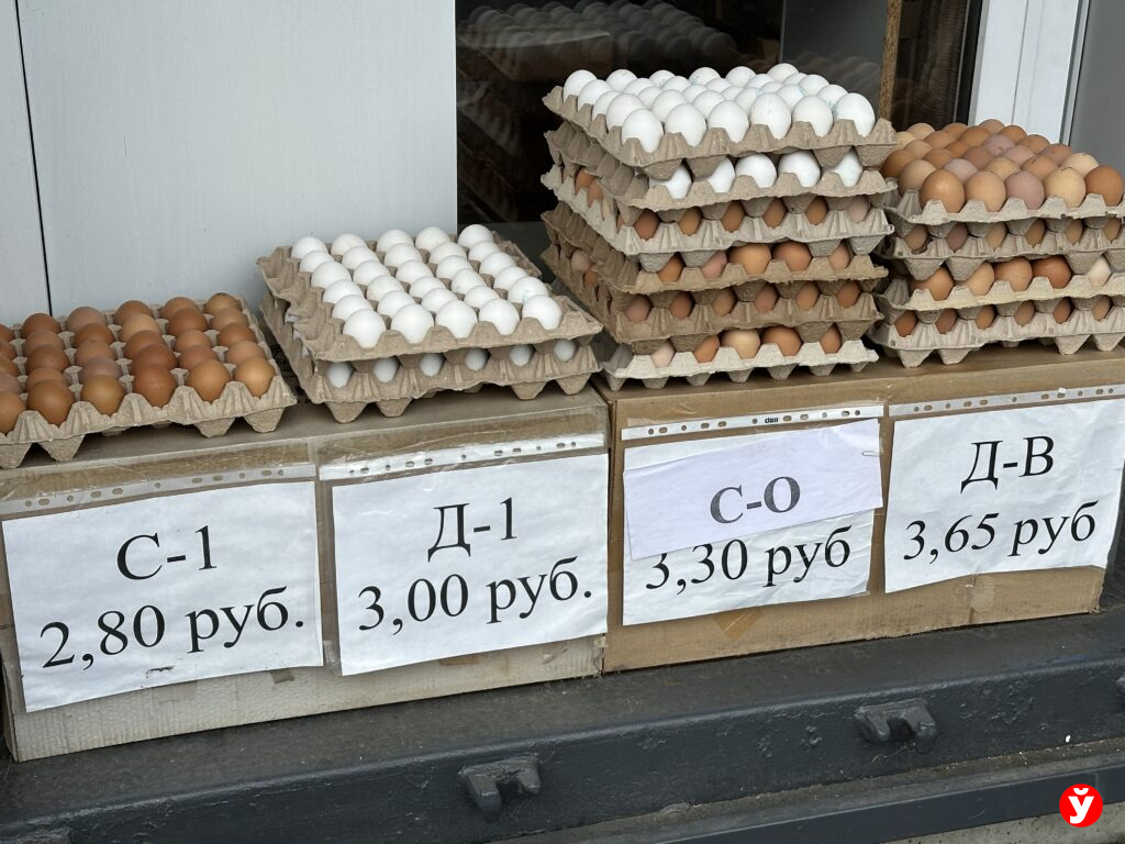 яйца