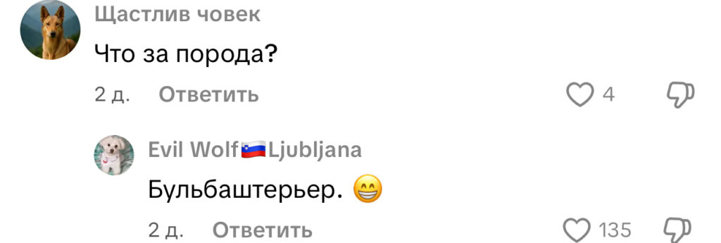 комментарий