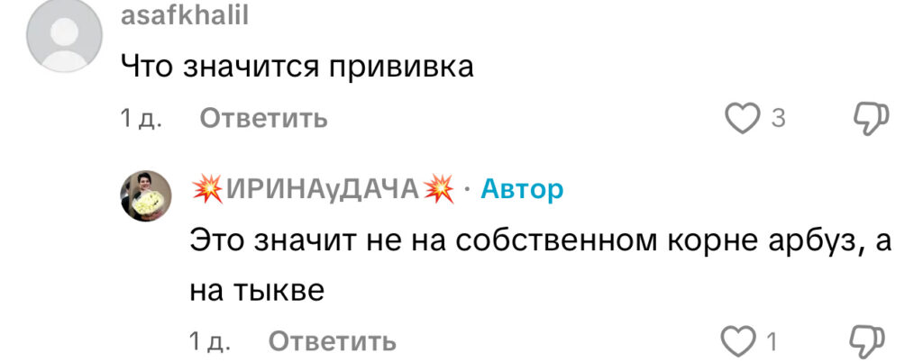 комментарий