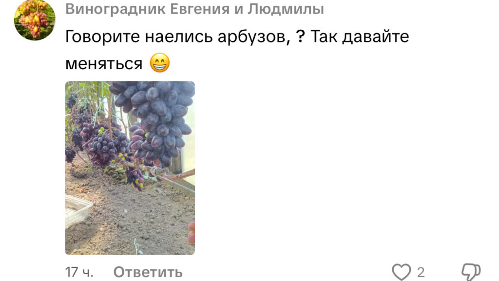 комментарий