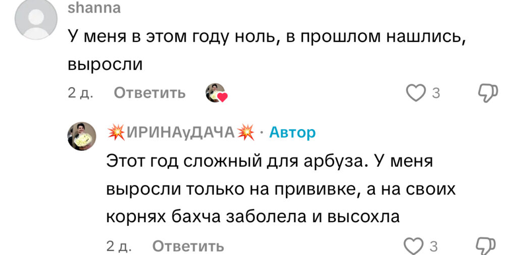 комментарий