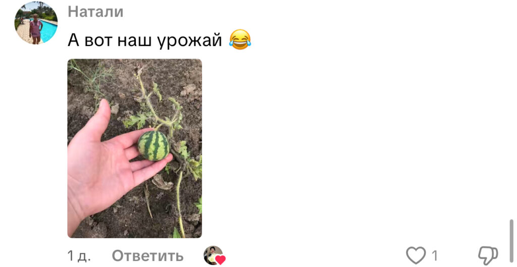 комментарий