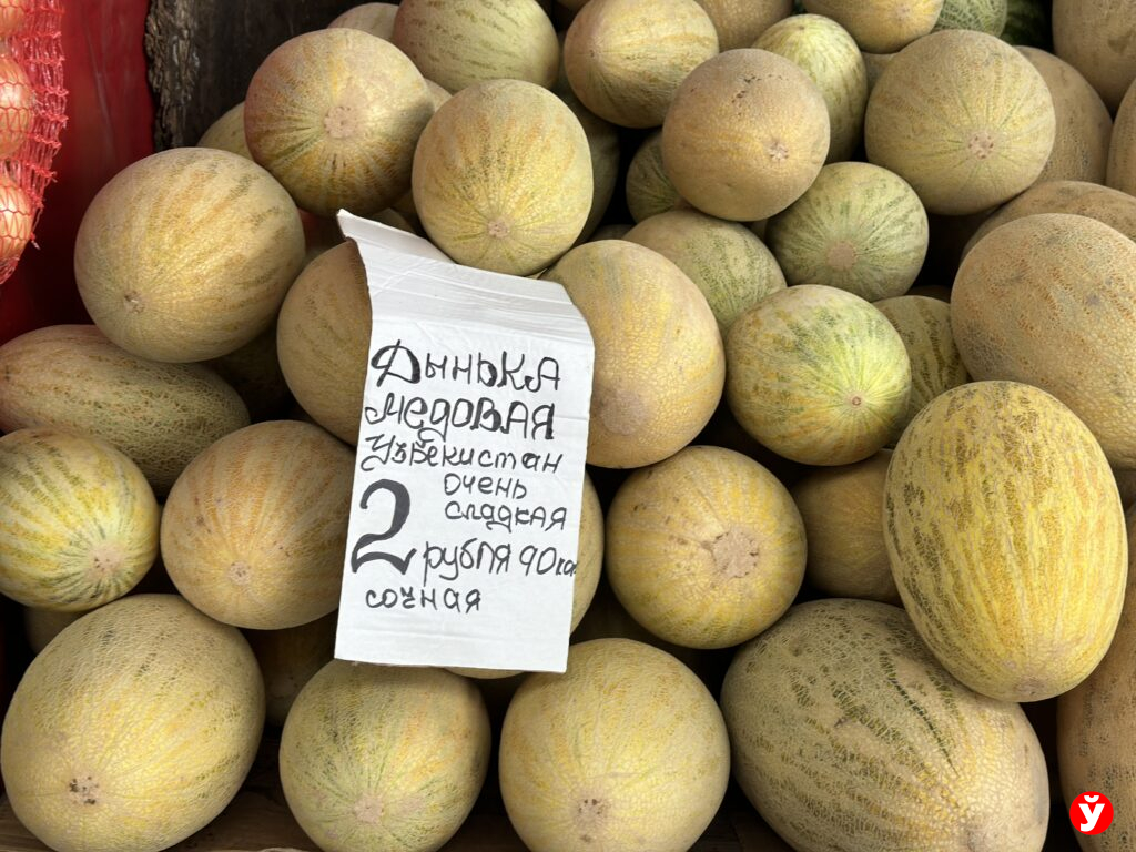 дыня