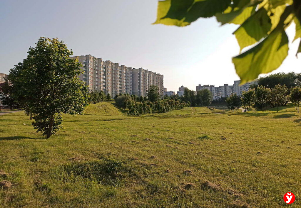квартира
