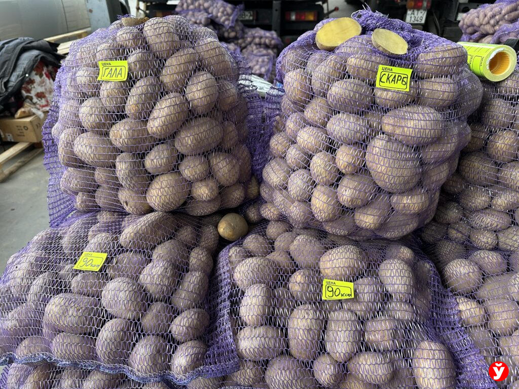 картошка