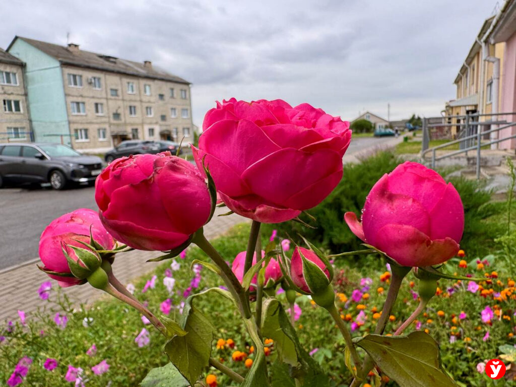 Копыль