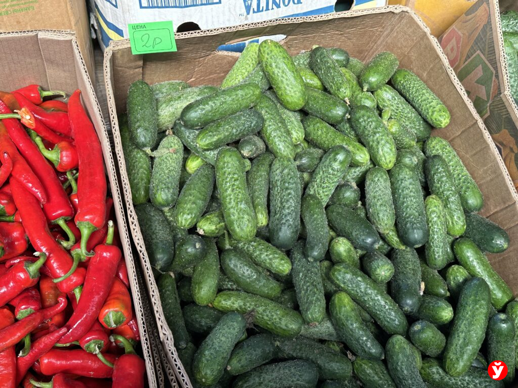закатки