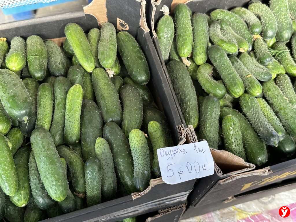 огурец
