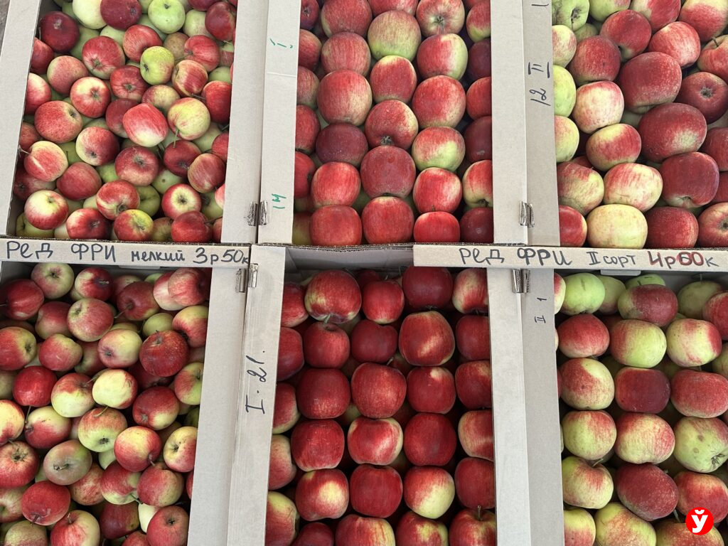 Топ-10 белорусских продуктов, которые раскупают активнее всего