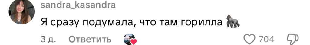 комментарий