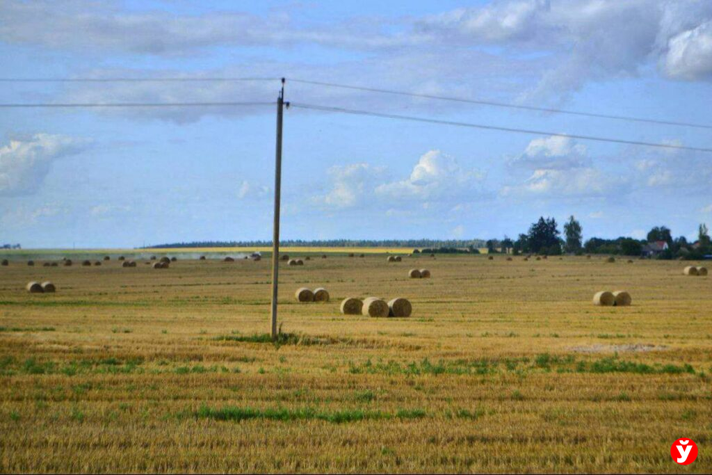 Клецк