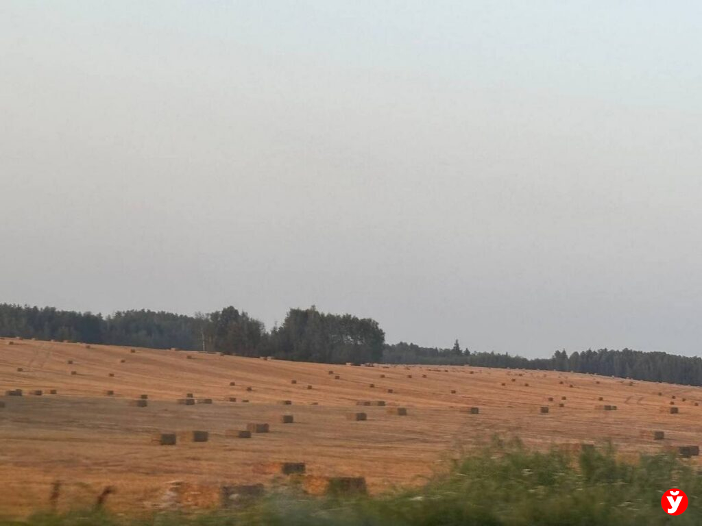 Логойск