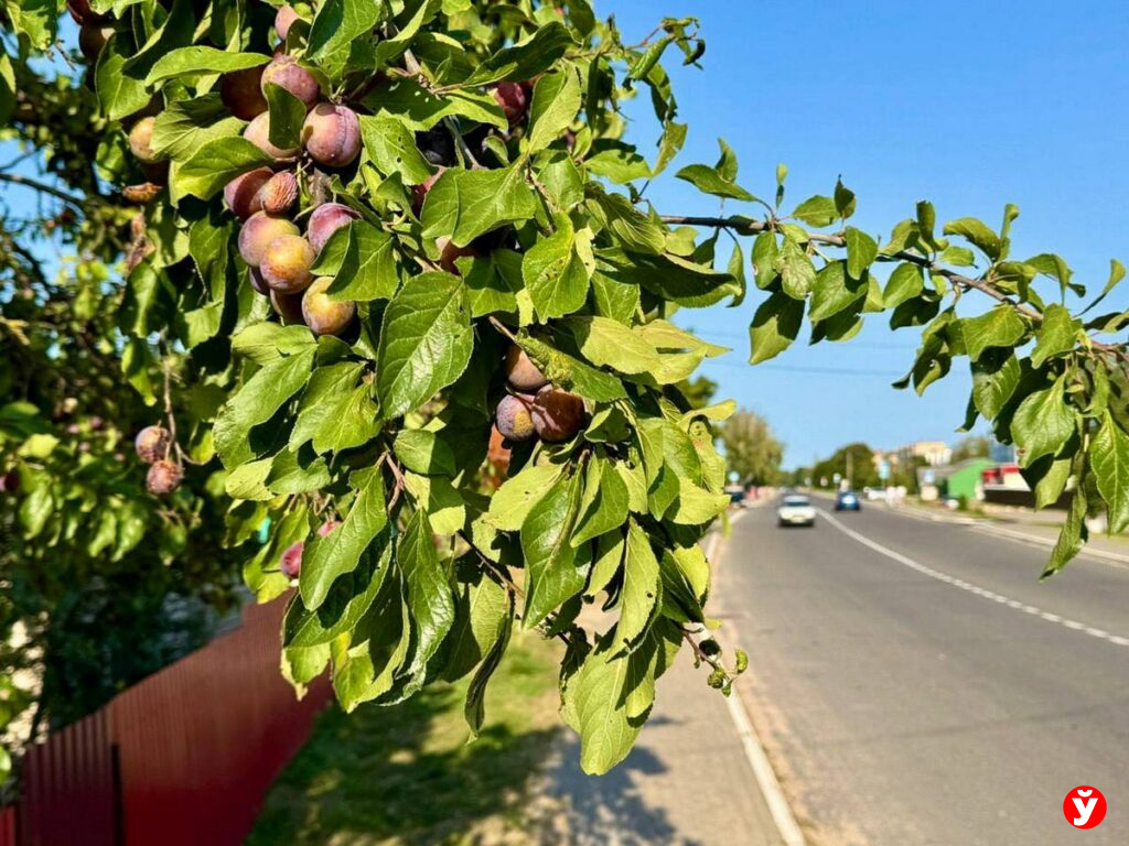 Сентябрь в Копыле