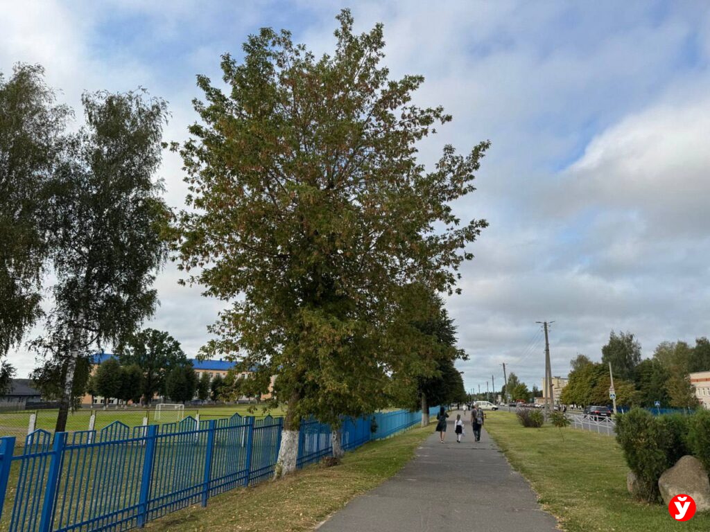 Березино