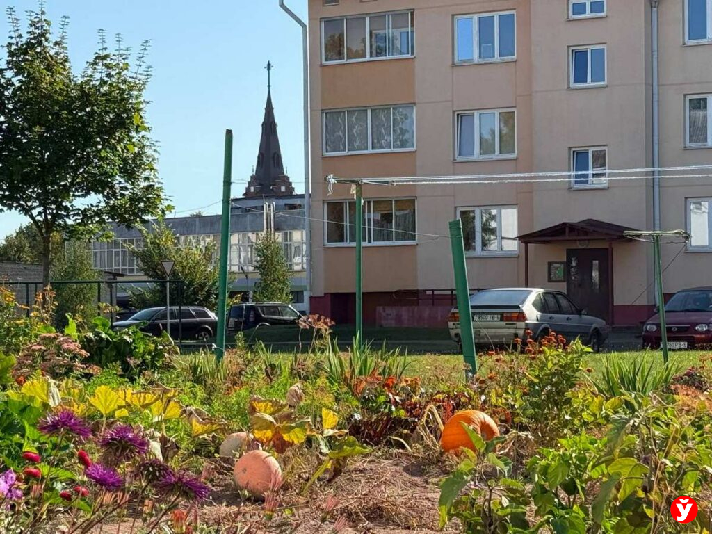 Столбцы