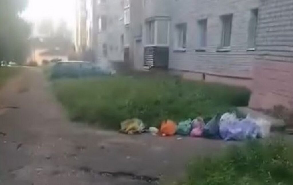 Крысы вновь замечены на одной из улиц Борисова. Что говорят службы