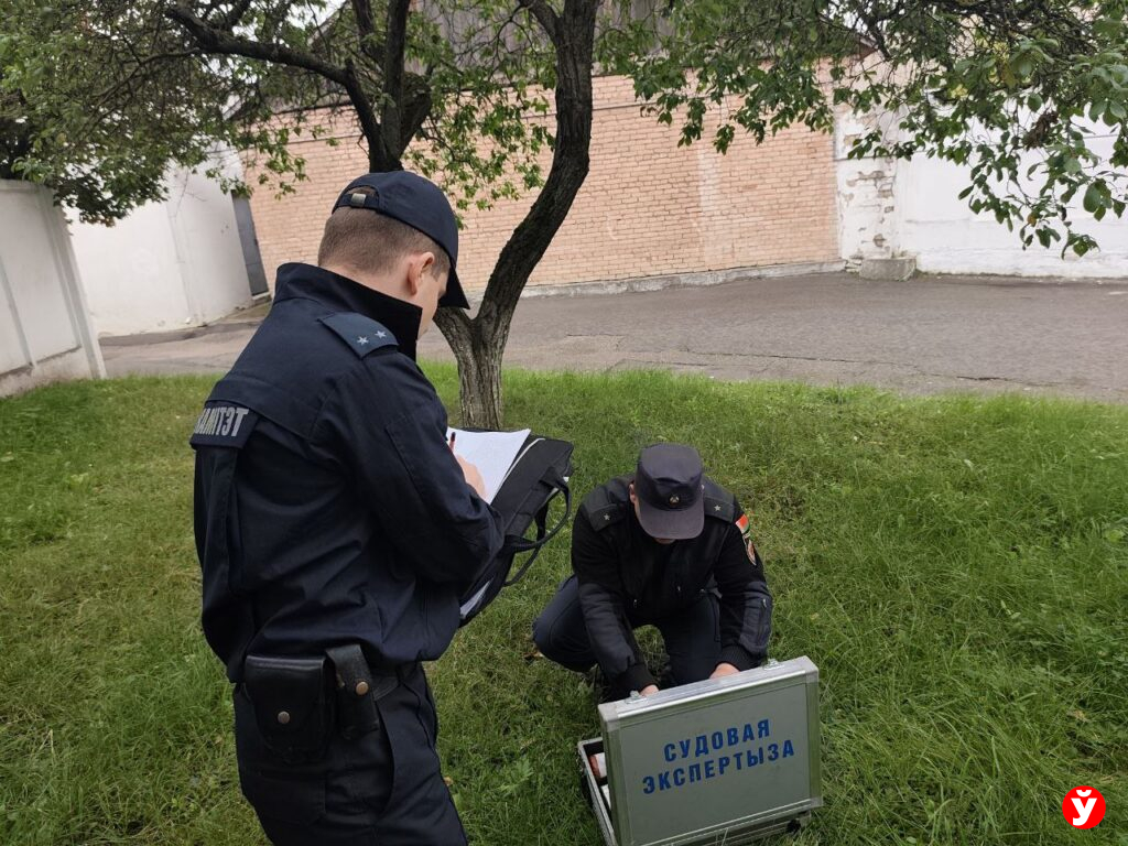экспертиза