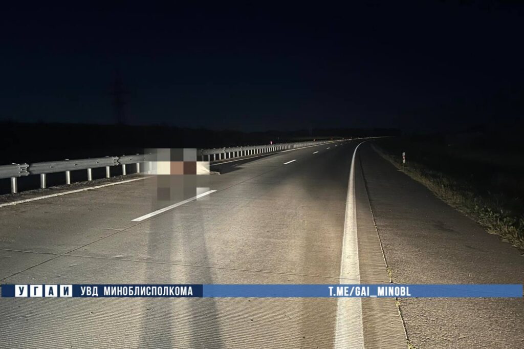На МКАД-2 Volkswagen врезался в лося: водитель в больнице