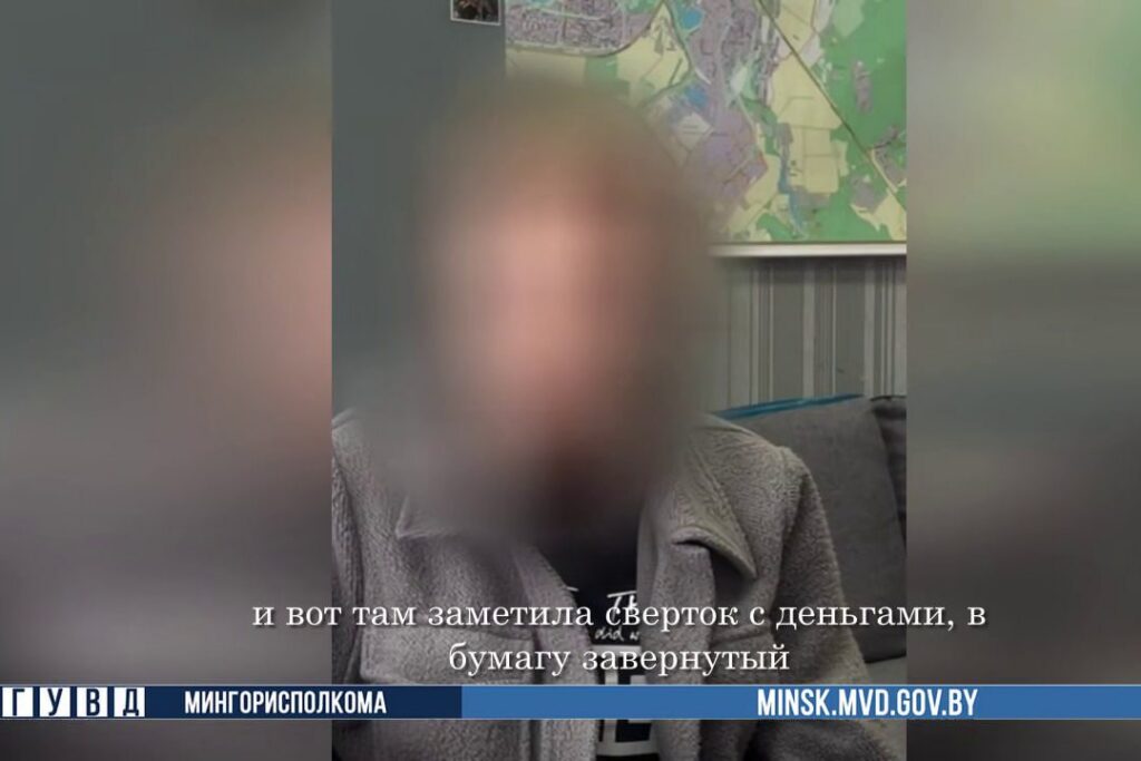 Минчанка украла 10 тысяч у хозяйки, пока убирала в ее доме