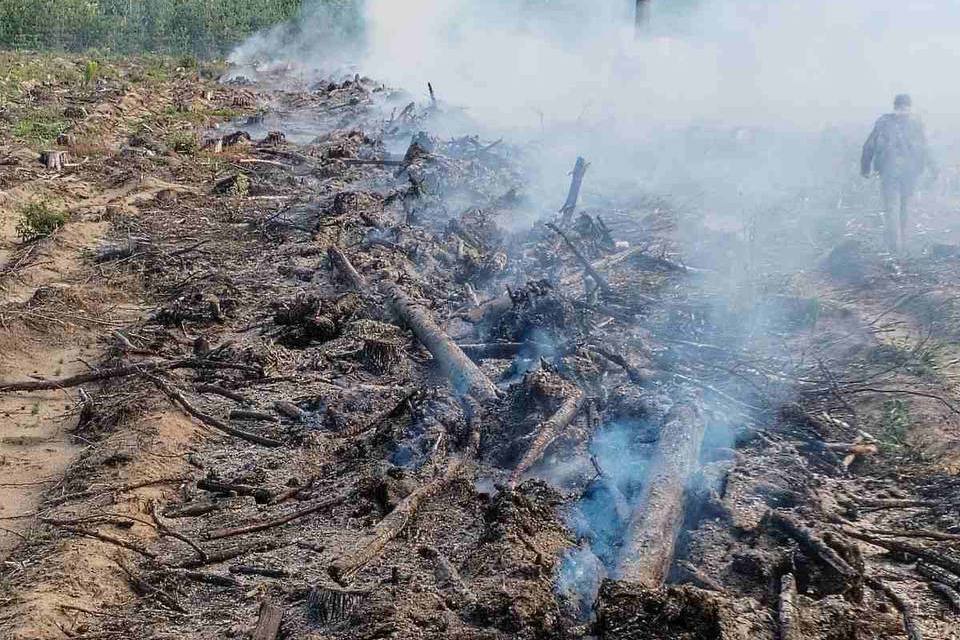 Гектары леса от пожара спас крупчанин в свой выходной