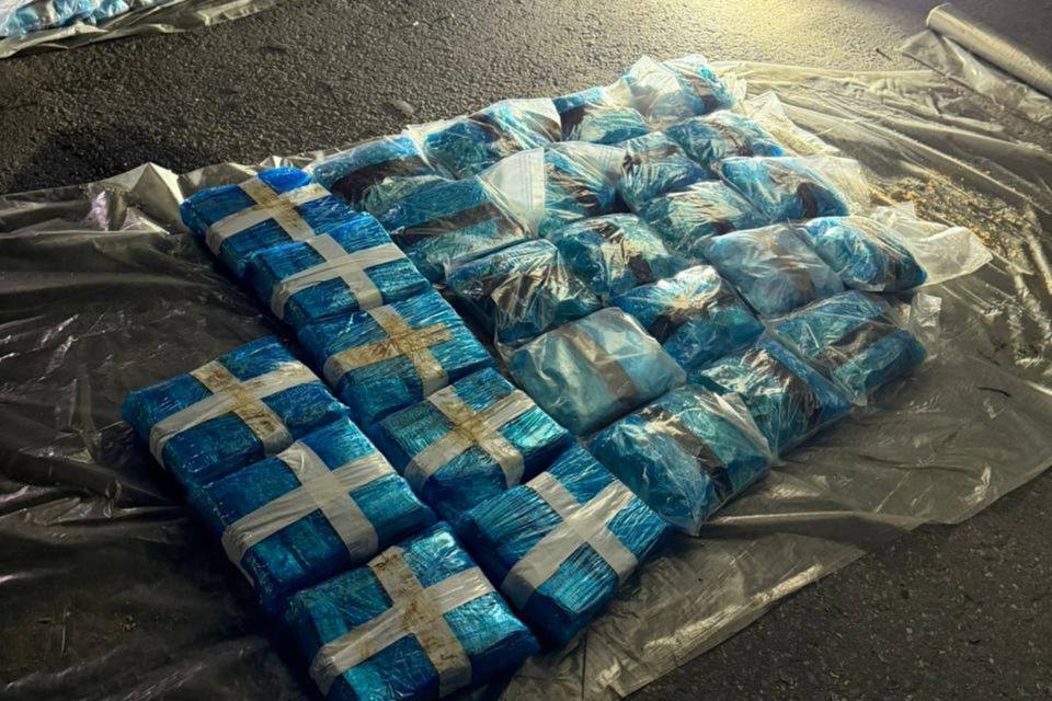 300 кг наркотиков в яблоках: фура из Молдовы задержана в Подмосковье