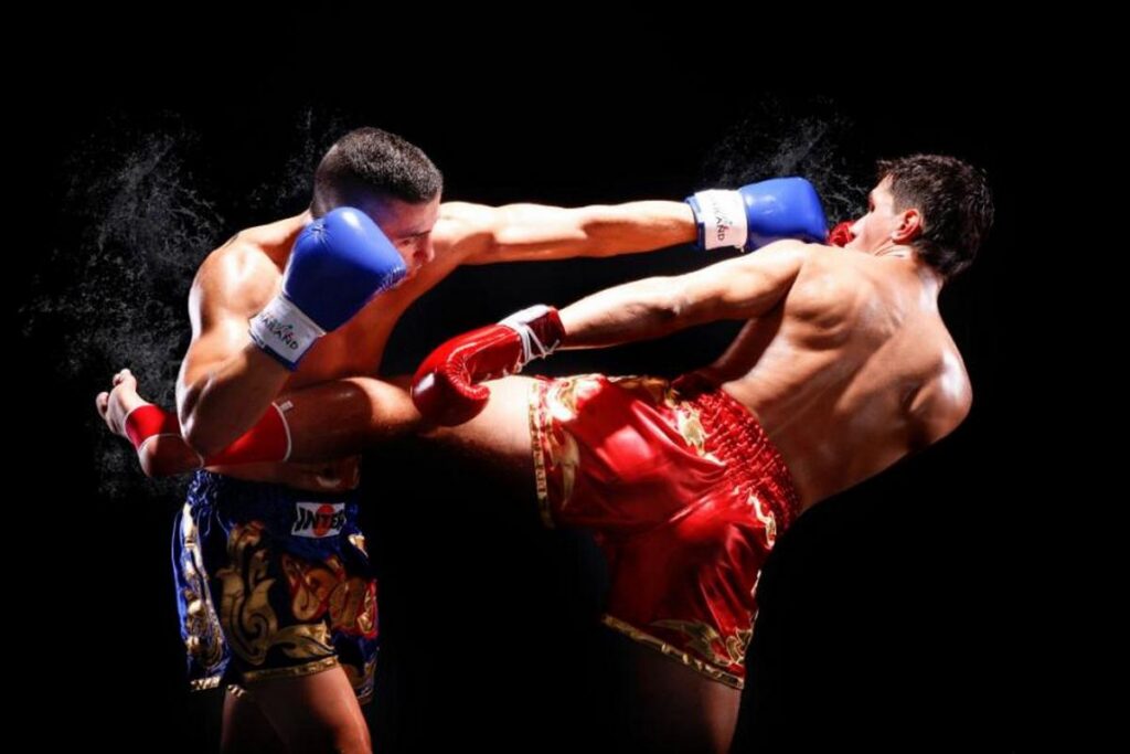 Стайки примут Кубок мира по кикбоксингу WKF в сентябре