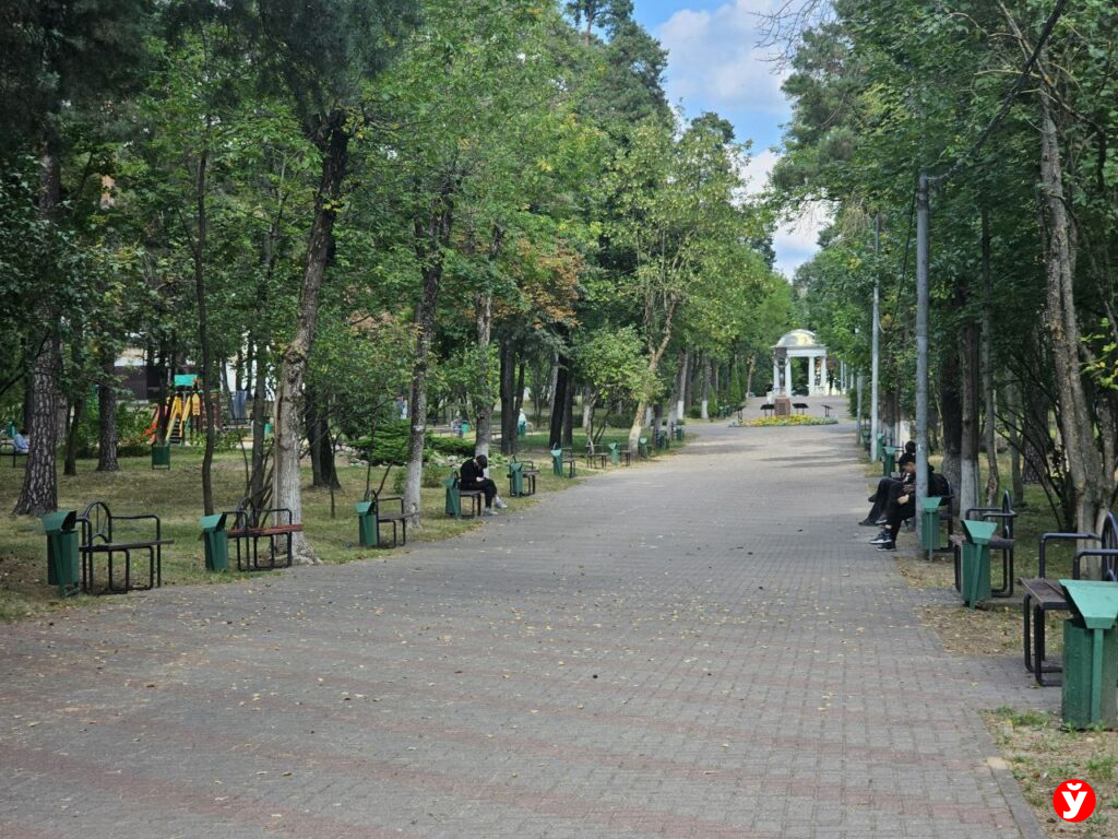 Обновление городского парка в Борисове: что ждет посетителей
