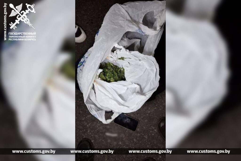 Повторно судимый житель Жлобина пытался вывезти марихуану в Россию