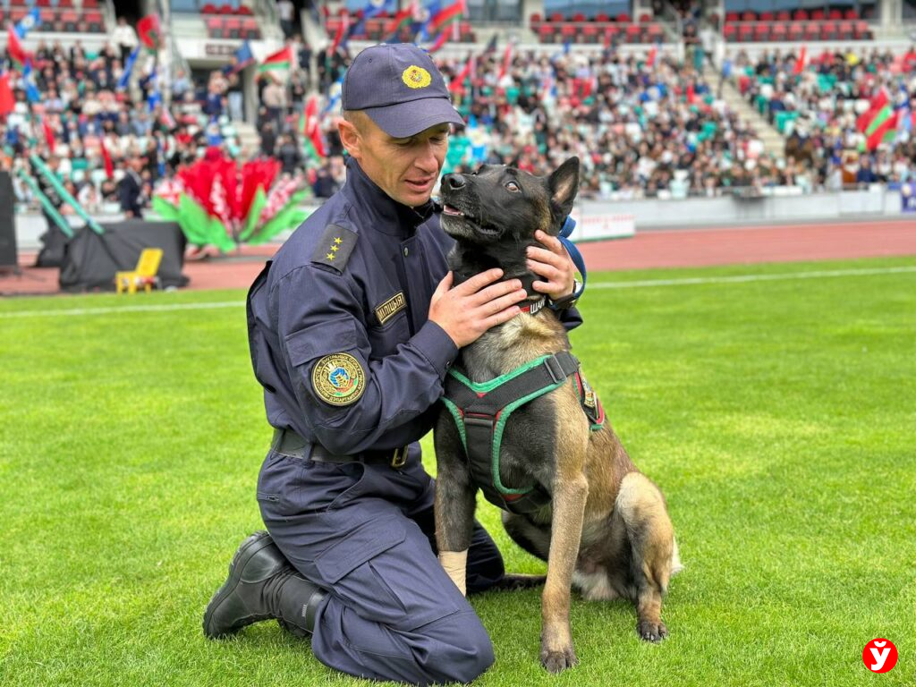 Анатолий Жоров 