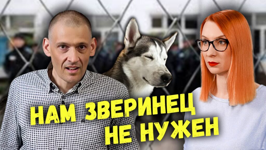 «Злая собачка» беглых. Как ведет себя Тихановский на свободе