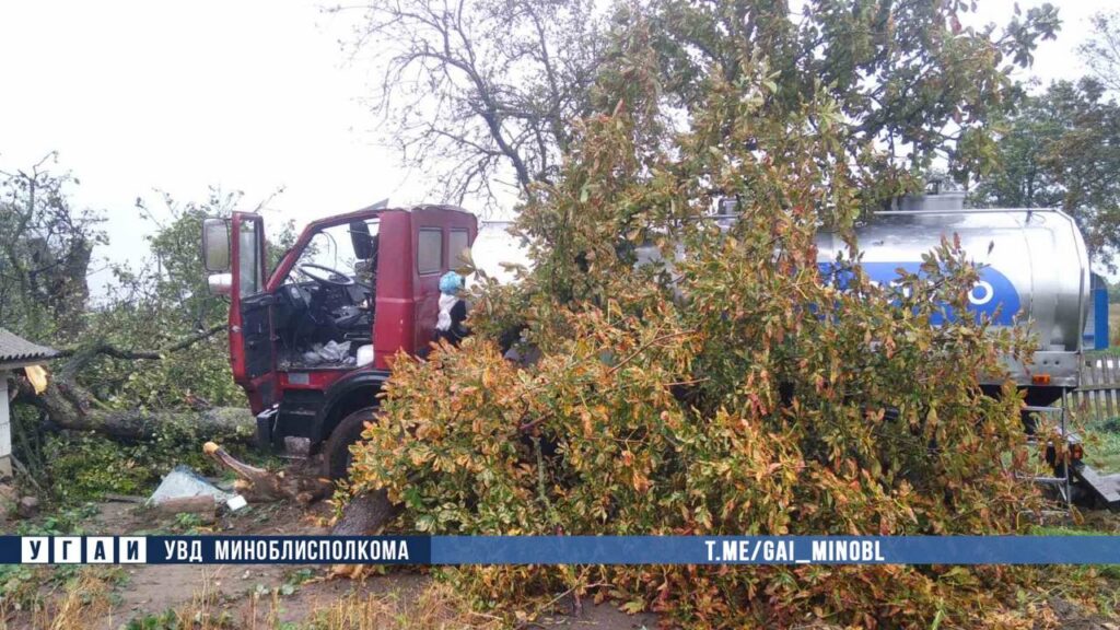 В Клецком районе грузовик врезался в дерево, а потом в забор