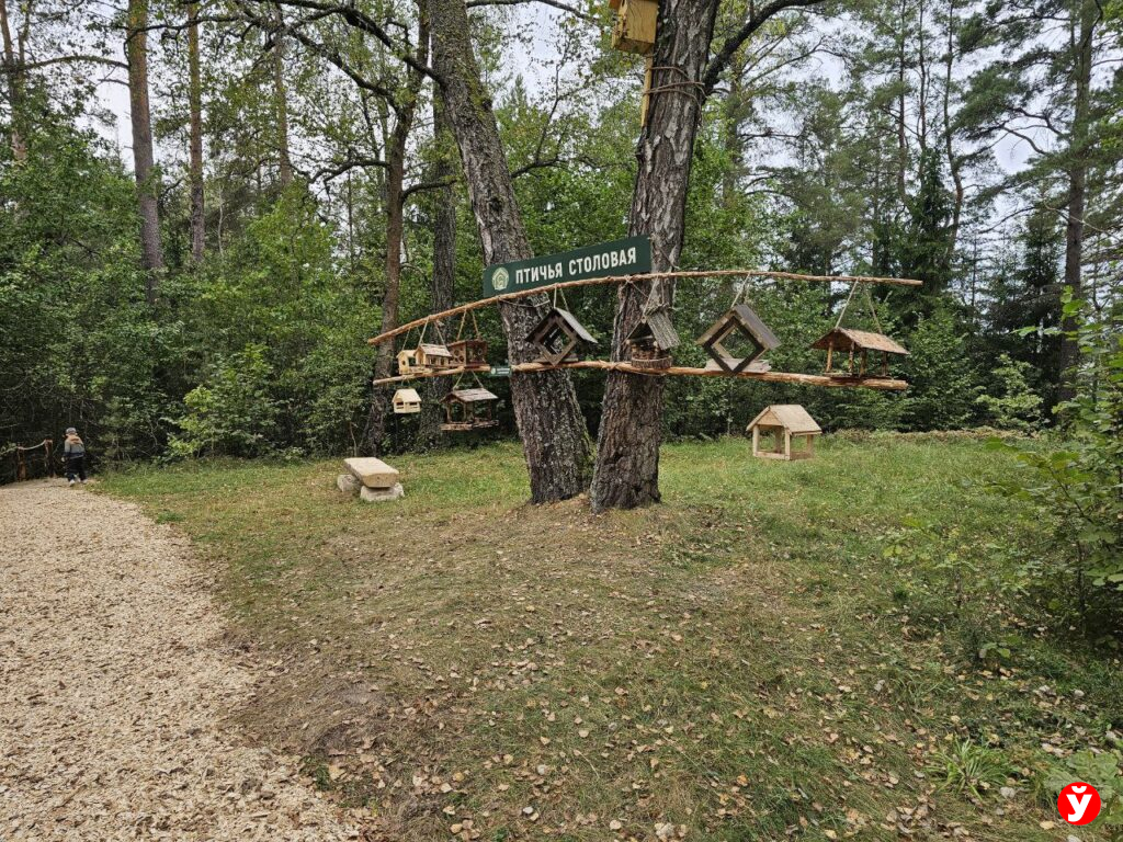столовая