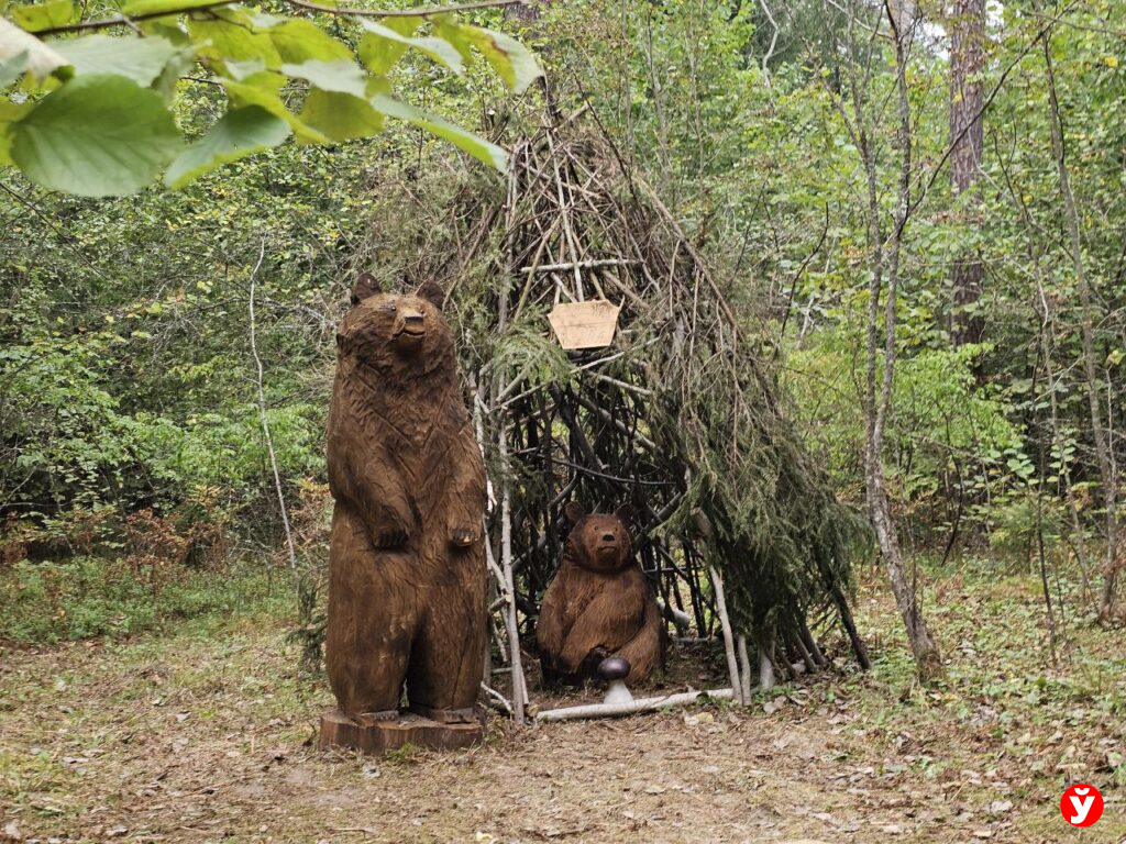 медведи