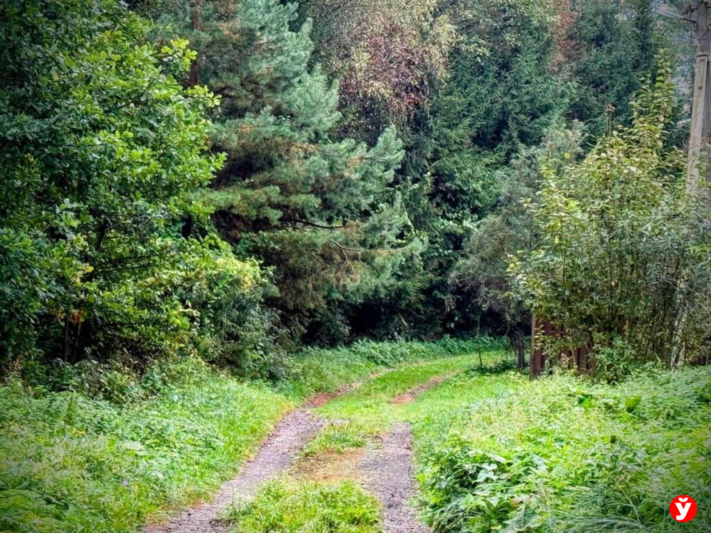 Дзержинск