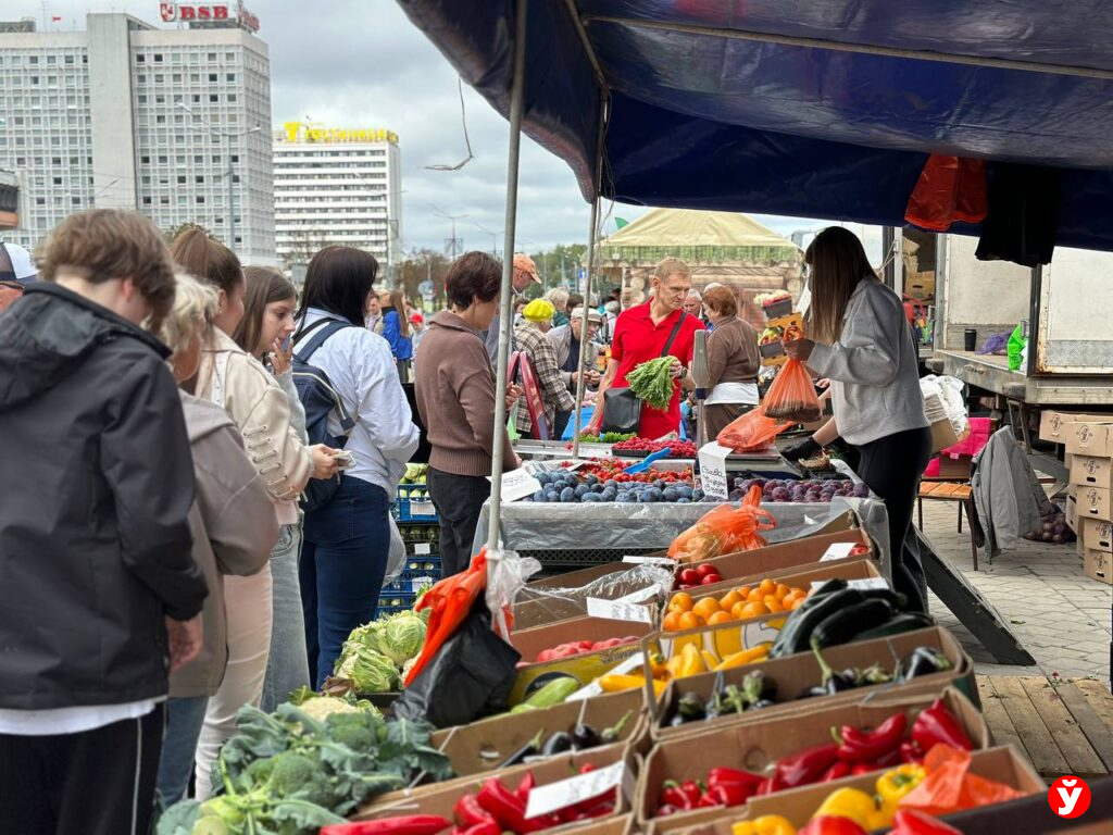 Минчане стоят в очередях за медом, мясом и ягодами: стартовал сезон осенних ярмарок