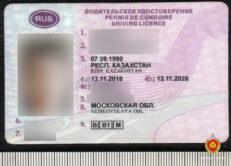 «Стрела» под Минском остановила водителя с поддельными российскими правами
