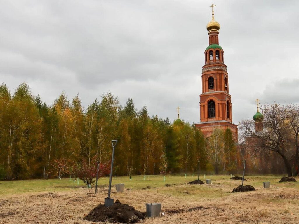 Сад дружбы Омск