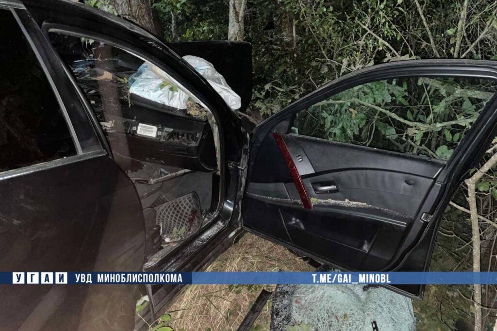 В Минском районе ночью автомобиль  сбил лося